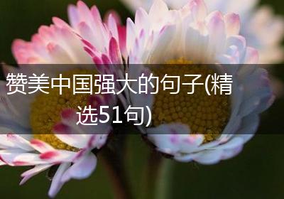 赞美中国强大的句子(精选51句)
