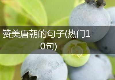 赞美唐朝的句子(热门10句)