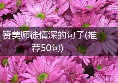 赞美师徒情深的句子(推荐50句)