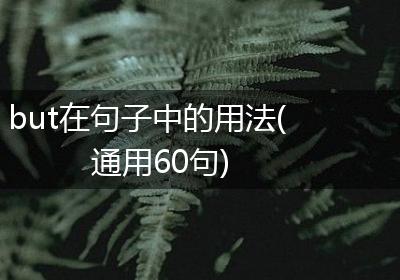 but在句子中的用法(通用60句)
