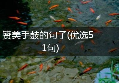 赞美手鼓的句子(优选51句)