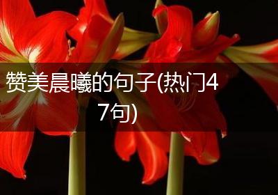 赞美晨曦的句子(热门47句)