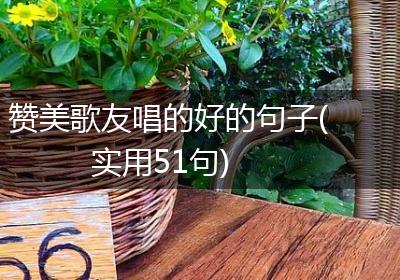 赞美歌友唱的好的句子(实用51句)