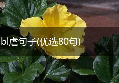 bl虐句子(优选80句)