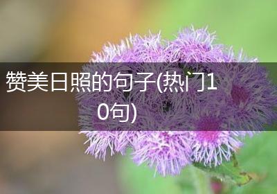 赞美日照的句子(热门10句)