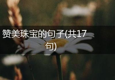 赞美珠宝的句子(共17句)