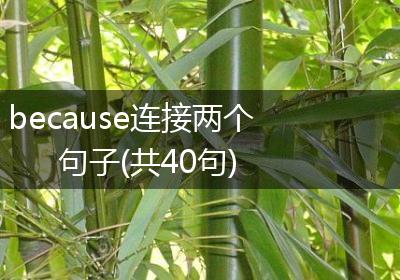 because连接两个句子(共40句)