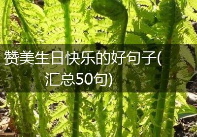 赞美生日快乐的好句子(汇总50句)
