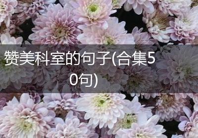赞美科室的句子(合集50句)