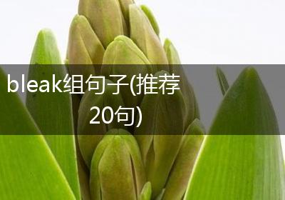 bleak组句子(推荐20句)