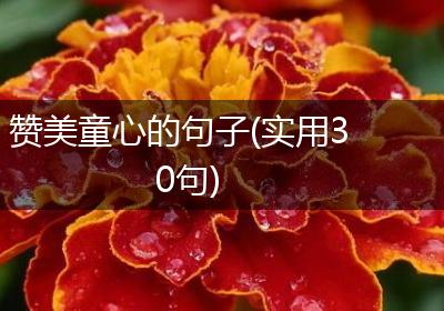 赞美童心的句子(实用30句)