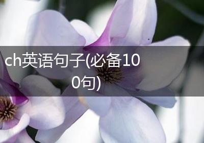 ch英语句子(必备100句)