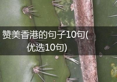 赞美香港的句子10句(优选10句)