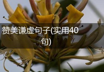 赞美谦虚句子(实用40句)