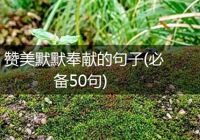 赞美默默奉献的句子(必备50句)