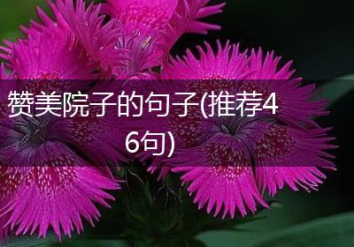 赞美院子的句子(推荐46句)
