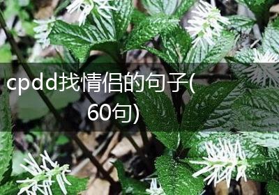 cpdd找情侣的句子(60句)