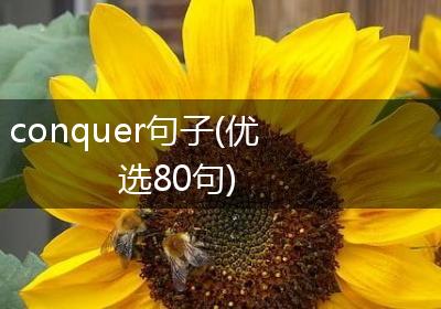 conquer句子(优选80句)