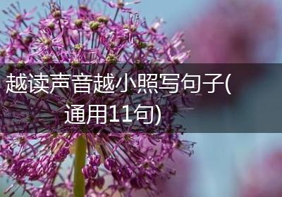 越读声音越小照写句子(通用11句)