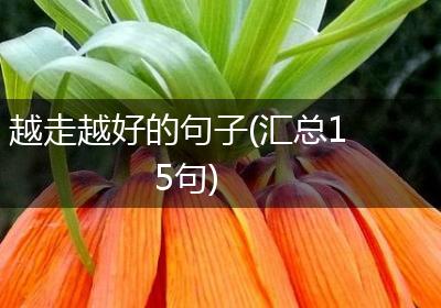 越走越好的句子(汇总15句)