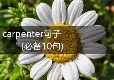 carpenter句子(必备10句)