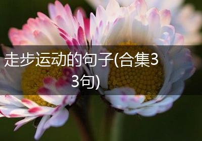 走步运动的句子(合集33句)