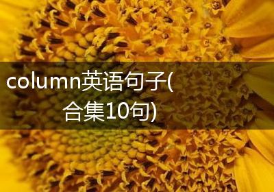 column英语句子(合集10句)