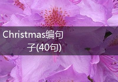 Christmas编句子(40句)
