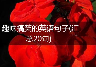 趣味搞笑的英语句子(汇总20句)
