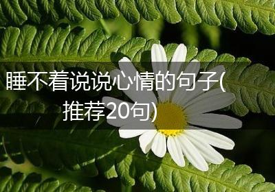 睡不着说说心情的句子(推荐20句)