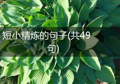 短小精炼的句子(共49句)