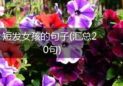 短发女孩的句子(汇总20句)