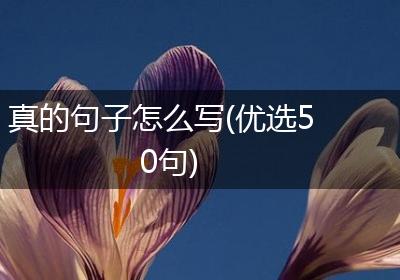 真的句子怎么写(优选50句)