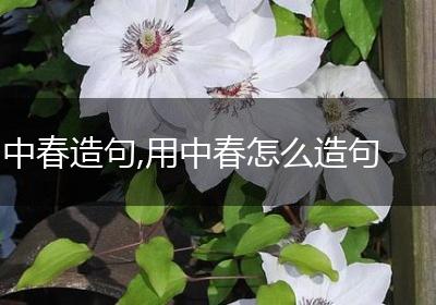 中春造句,用中春怎么造句