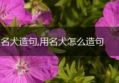 名犬造句,用名犬怎么造句