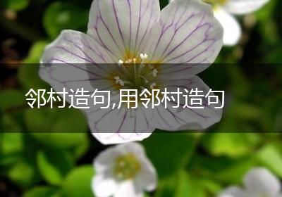 邻村造句,用邻村造句