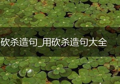 砍杀造句_用砍杀造句大全