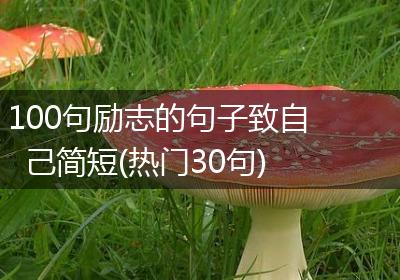 100句励志的句子致自己简短(热门30句)