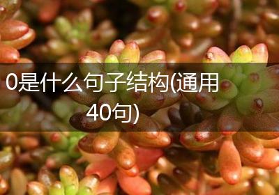 0是什么句子结构(通用40句)