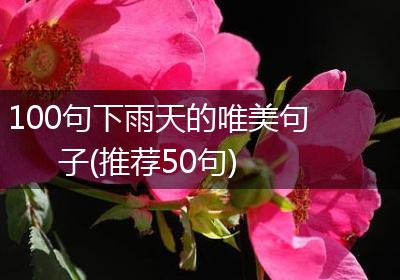 100句下雨天的唯美句子(推荐50句)