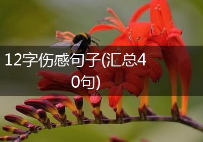 12字伤感句子(汇总40句)