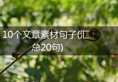 10个文章素材句子(汇总20句)