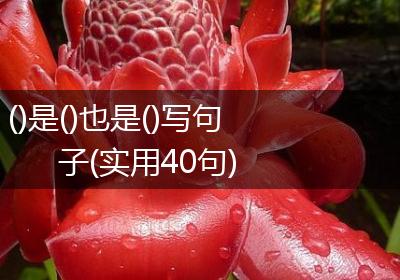 ()是()也是()写句子(实用40句)