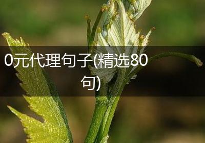 0元代理句子(精选80句)