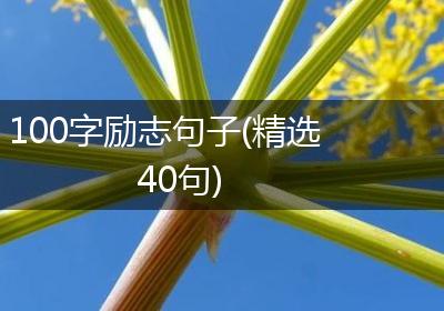 100字励志句子(精选40句)