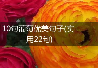 10句葡萄优美句子(实用22句)
