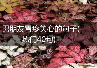 男朋友胃疼关心的句子(热门40句)