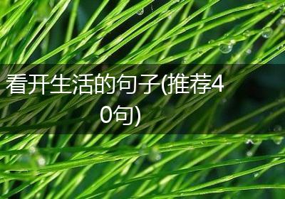 看开生活的句子(推荐40句)