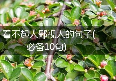 看不起人鄙视人的句子(必备10句)