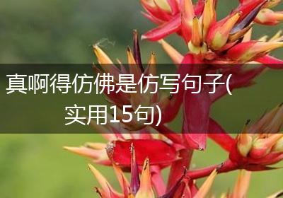 真啊得仿佛是仿写句子(实用15句)